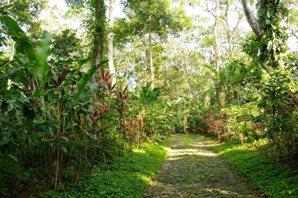 Takalik Maya Lodge El Asintal 외부 사진
