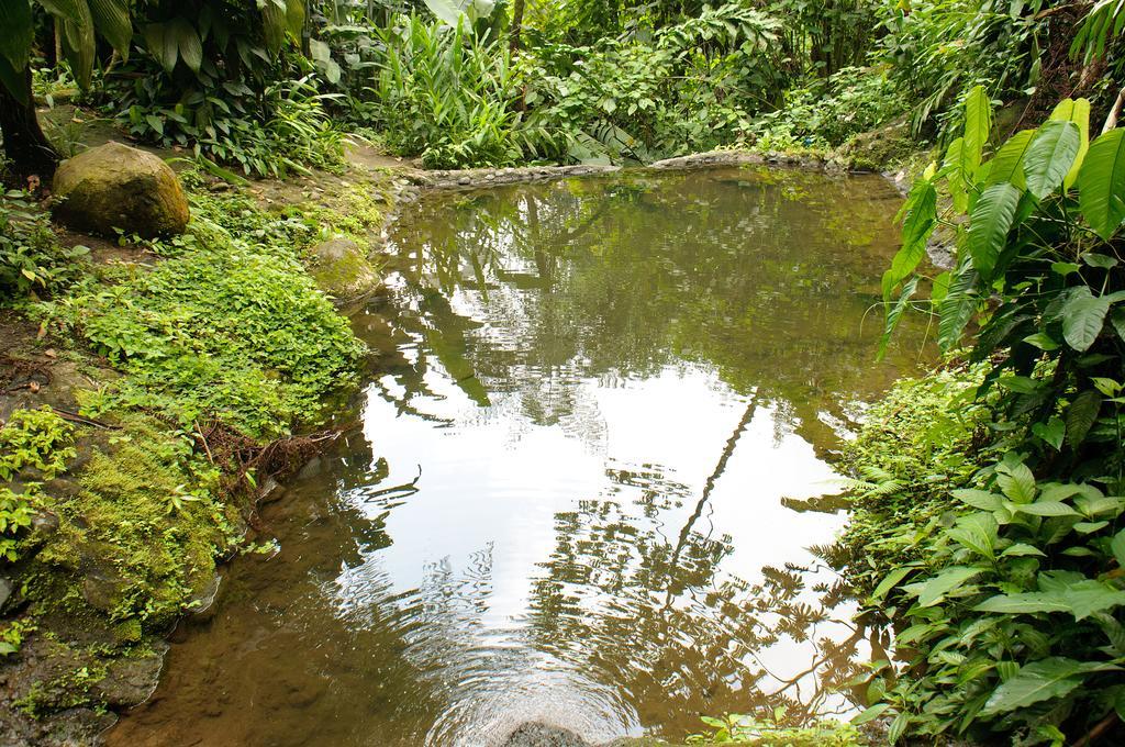 Takalik Maya Lodge El Asintal 외부 사진