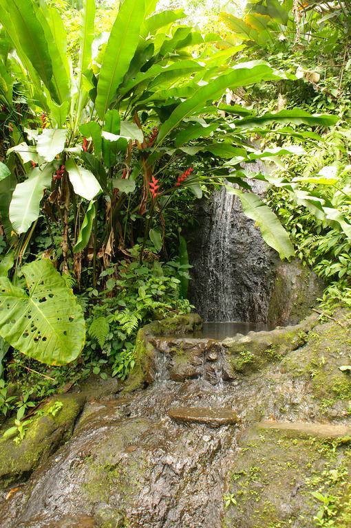 Takalik Maya Lodge El Asintal 외부 사진