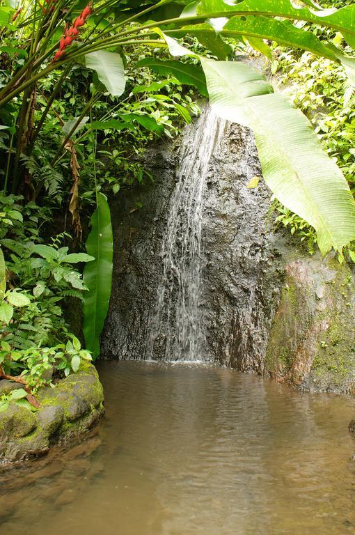 Takalik Maya Lodge El Asintal 외부 사진