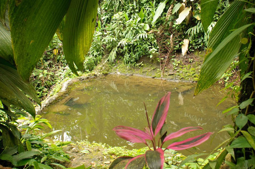 Takalik Maya Lodge El Asintal 외부 사진