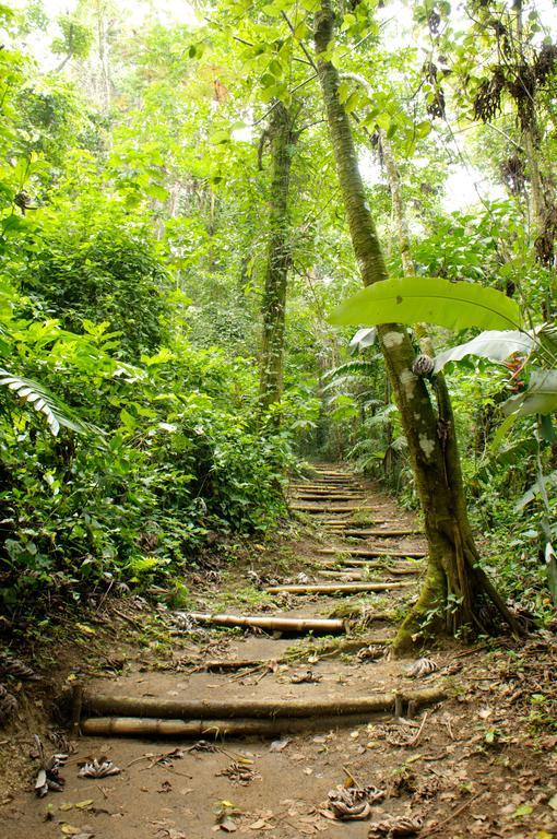 Takalik Maya Lodge El Asintal 외부 사진