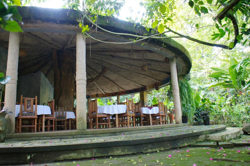 Takalik Maya Lodge El Asintal 외부 사진
